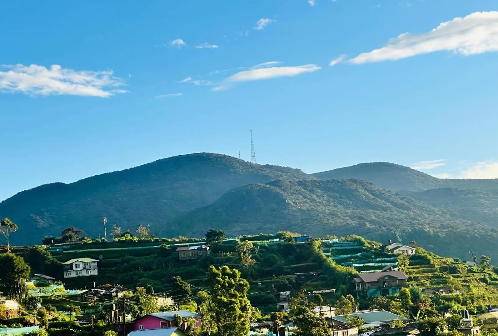 The Golden Hive Hotel Nuwara Eliya