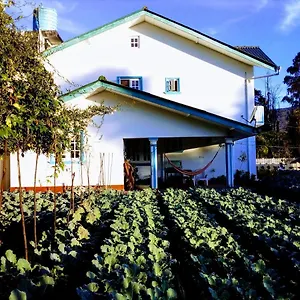 Gasthuis Vibe Way, Nuwara Eliya